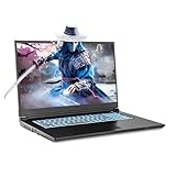 Sager 2024 Gaming Laptop NP7882E, 17.3 Inch FHD 144Hz 72% NTSC, Intel i9-14900HX, RTX 4070 8GB, 64GB RAM, 2TB Gen4 NVMe SSD, TBT 4, Win 11