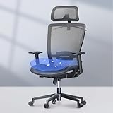 FLEXISPOT Ergonomic Office Chair, High Back Mesh Swivel Computer Chair, Executive Office Desk Chairs, with Adjustable Lumbar Support/2D Headrest/Lockable Backrest, OC3 Mesh Seat, Gray