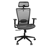FLEXISPOT Ergonomic Office Chair, High Back Mesh Swivel Computer Chair, Executive Office Desk Chairs, with Adjustable Lumbar Support/2D Headrest/Lockable Backrest, OC3 Mesh Seat, Gray