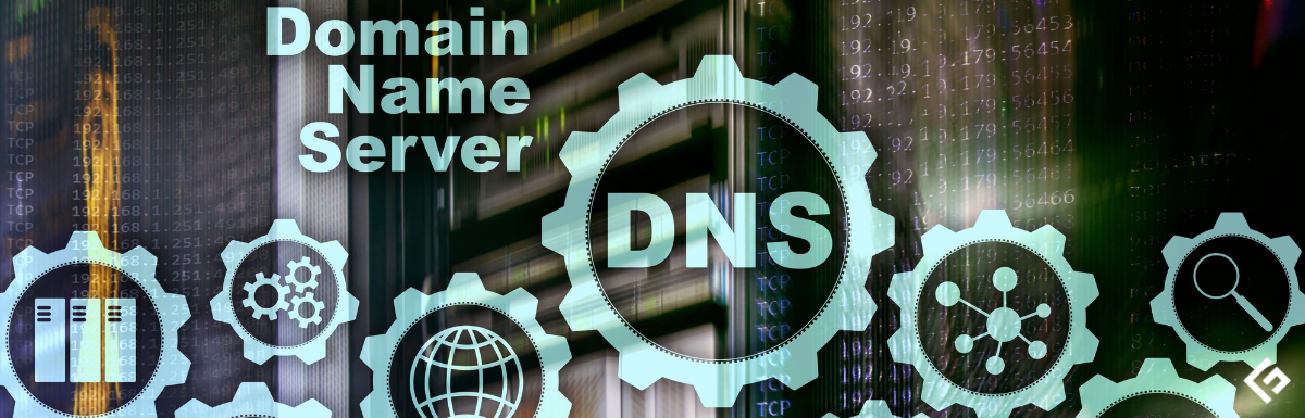 host command for DNS