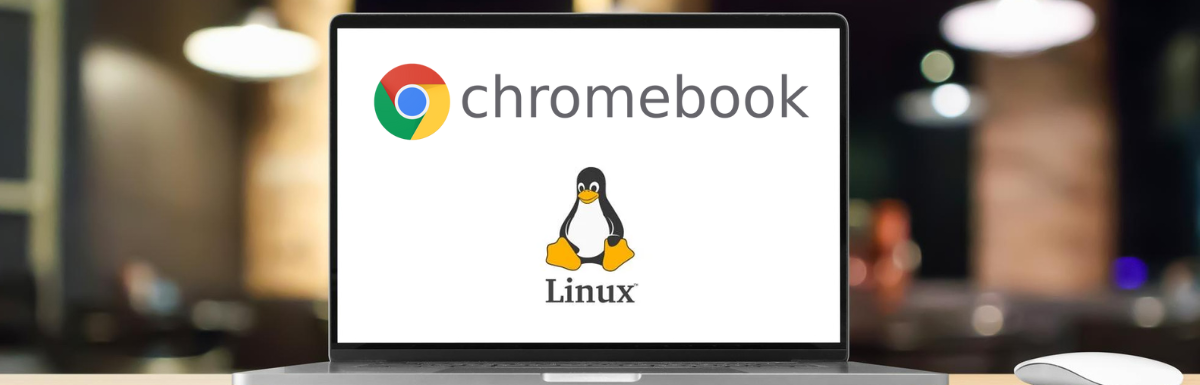 How to Install Linux on Chromebook Step-by-Step Guide