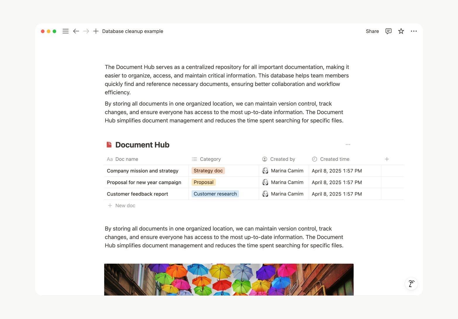 notion database update 1