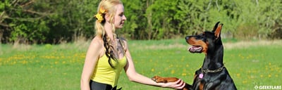 pet tracker