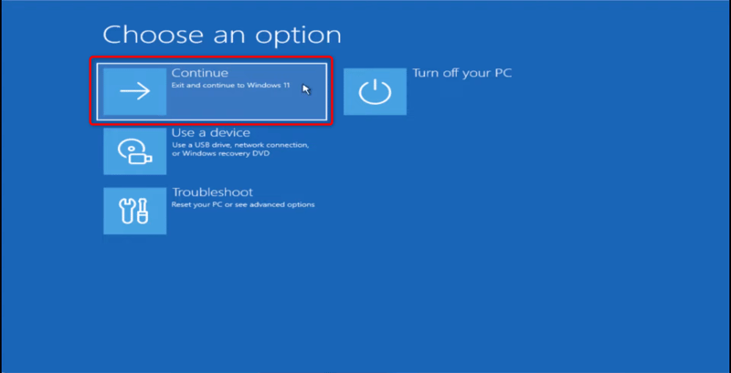 exit the command prompt and continue to windows