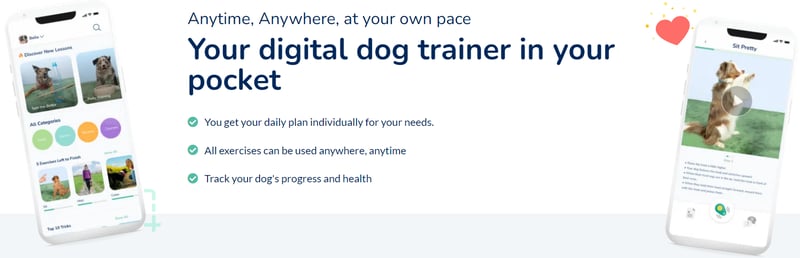 Your pocket-sized hundeo dog trainer.
